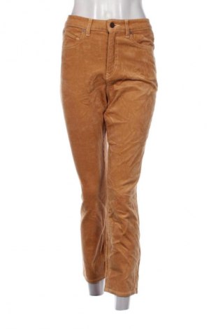 Pantaloni de velvet de femei Unbranded, Mărime S, Culoare Maro, Preț 37,99 Lei