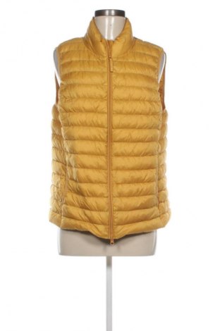 Γυναικείο γιλέκο Betty Barclay, Μέγεθος XL, Χρώμα Πορτοκαλί, Τιμή 30,99 €