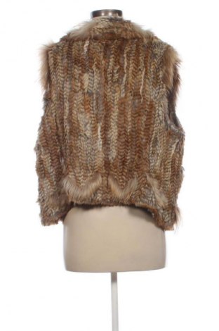 Γυναικείο γιλέκο Milestone, Μέγεθος M, Χρώμα Πολύχρωμο, Τιμή 38,00 €