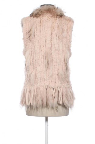 Damska kamizelka Oakwood, Rozmiar XL, Kolor Kolorowy, Cena 312,97 zł