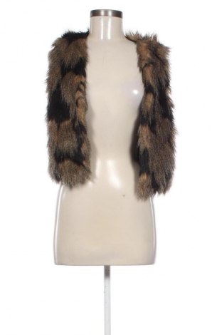 Dámska vesta  Unbranded, Veľkosť M, Farba Viacfarebná, Cena  19,95 €