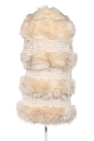 Dámska vesta  Unbranded, Veľkosť M, Farba Viacfarebná, Cena  19,95 €