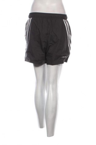 Damen Shorts Adidas, Größe S, Farbe Mehrfarbig, Preis 39,40 €