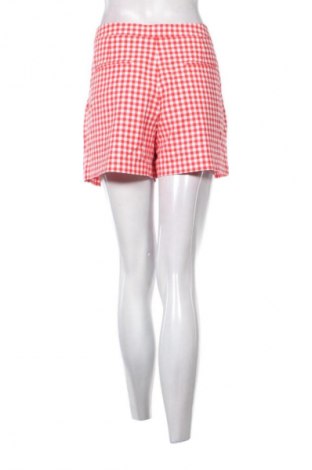 Damen Shorts Lacoste, Größe L, Farbe Mehrfarbig, Preis € 82,35