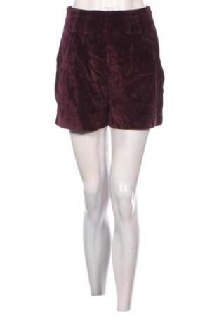 Damskie szorty Marc Aurel, Rozmiar S, Kolor Czerwony, Cena 98,99 zł