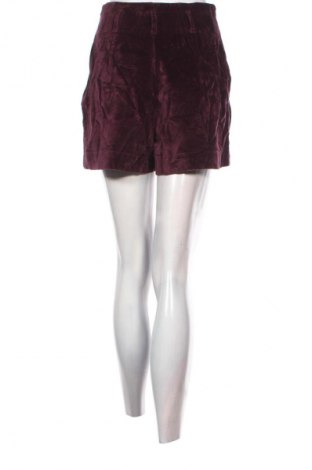 Damskie szorty Marc Aurel, Rozmiar S, Kolor Czerwony, Cena 98,99 zł