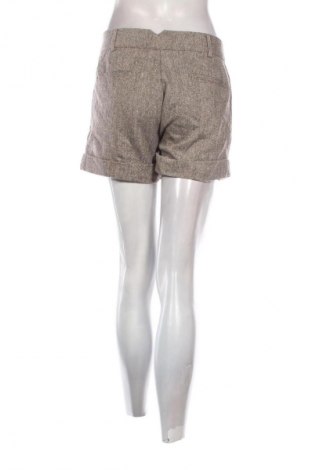 Damen Shorts Motivi, Größe L, Farbe Mehrfarbig, Preis 10,99 €