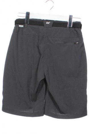 Pantaloni scurți de femei Regatta, Mărime XS, Culoare Gri, Preț 105,99 Lei