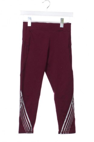 Damen Leggings Champion, Größe XS, Farbe Lila, Preis 12,99 €