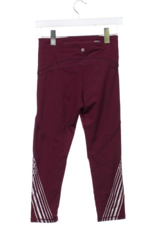 Damen Leggings Champion, Größe XS, Farbe Lila, Preis 12,99 €