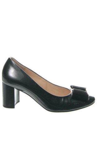 Damenschuhe Hogl, Größe 37, Farbe Schwarz, Preis € 117,14