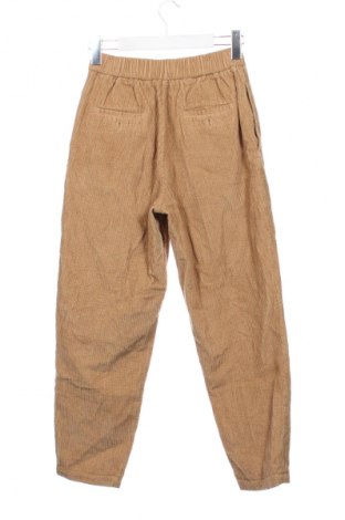 Dámske nohavice Pomandere, Veľkosť XS, Farba Béžová, Cena  23,95 €