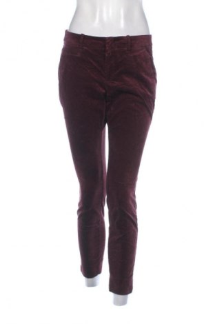 Damenhose S.Oliver, Größe M, Farbe Rot, Preis € 12,99