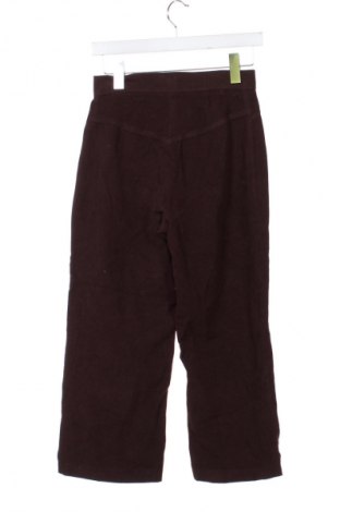 Damenhose Snap, Größe XS, Farbe Braun, Preis € 20,99