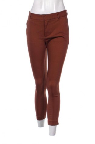 Damenhose Stradivarius, Größe S, Farbe Braun, Preis € 14,83