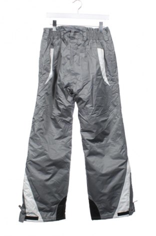 Damenhose für Wintersport Limit, Größe L, Farbe Grau, Preis € 20,99