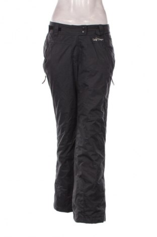 Damenhose für Wintersport TCM, Größe S, Farbe Grau, Preis € 26,99