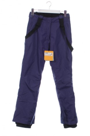 Damenhose für Wintersport Wanabee, Größe M, Farbe Lila, Preis 83,89 €