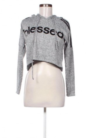 Dámska mikina  Unbranded, Veľkosť S, Farba Sivá, Cena  14,83 €