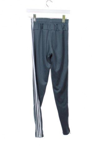 Damen Sporthose Adidas, Größe XS, Farbe Grau, Preis € 22,99