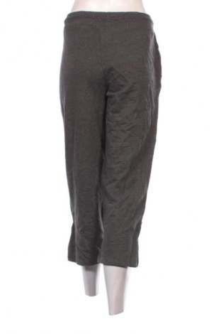 Γυναικείο αθλητικό παντελόνι Crane, Μέγεθος XL, Χρώμα Γκρί, Τιμή 9,99 €