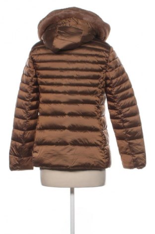 Damenjacke CMP, Größe XS, Farbe Braun, Preis € 112,99