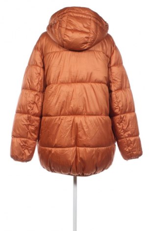 Damenjacke Clockhouse, Größe M, Farbe Orange, Preis € 29,99