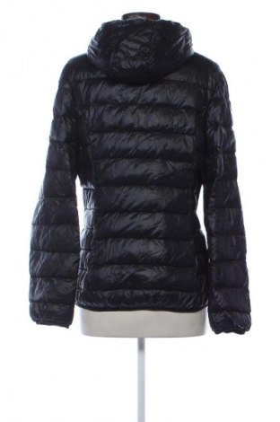 Γυναικείο μπουφάν Colours Of The World, Μέγεθος XL, Χρώμα Μαύρο, Τιμή 24,49 €