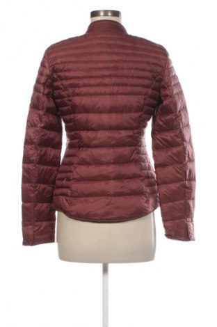 Damenjacke Jax, Größe S, Farbe Rot, Preis € 22,99