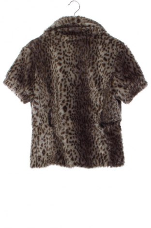 Geacă de femei Lucia, Mărime L, Culoare Multicolor, Preț 179,00 Lei