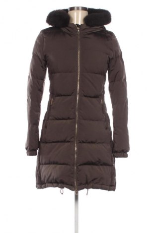 Damenjacke Massimo Dutti, Größe S, Farbe Grau, Preis 59,34 €