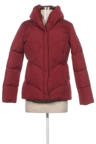 Damenjacke Outfit, Größe S, Farbe Rot, Preis 22,99 €