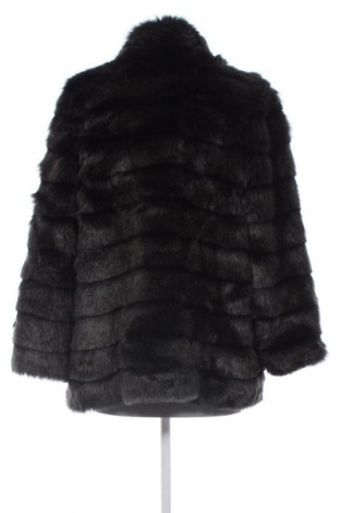 Γυναικείο μπουφάν Passport., Μέγεθος M, Χρώμα Μαύρο, Τιμή 33,99 €