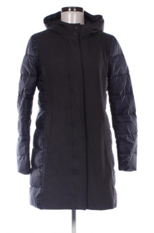 Damenjacke Peserico, Größe L, Farbe Blau, Preis € 140,18