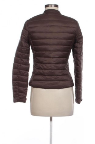 Kurtka damska Sinsay, Rozmiar XXS, Kolor Brązowy, Cena 110,07 zł