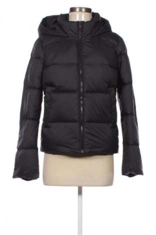 Damenjacke Tommy Hilfiger, Größe XS, Farbe Schwarz, Preis 279,99 €