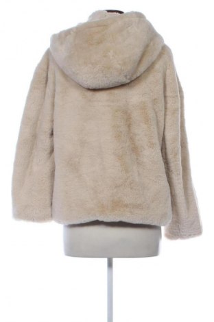 Damenjacke Zara, Größe XS, Farbe Ecru, Preis € 20,99