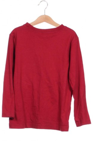 Kinder Shirt Crazy, Größe 5-6y/ 116-122 cm, Farbe Mehrfarbig, Preis € 6,14