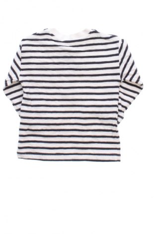 Παιδική μπλούζα F&F, Μέγεθος 9-12m/ 74-80 εκ., Χρώμα Πολύχρωμο, Τιμή 6,00 €