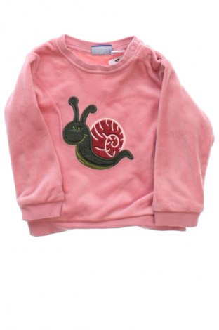 Kinder Shirt Lupilu, Größe 3-6m/ 62-68 cm, Farbe Rosa, Preis 6,00 €