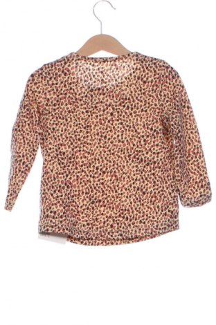 Gyerek blúz Lupilu, Méret 18-24m / 86-98 cm, Szín Sokszínű, Ár 3 602 Ft