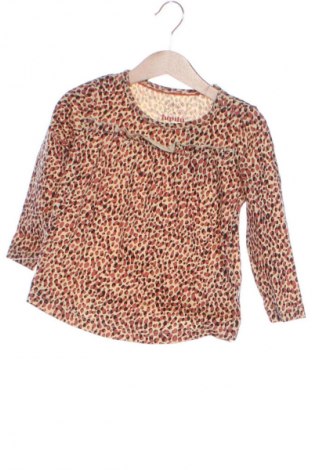 Kinder Shirt Lupilu, Größe 18-24m/ 86-98 cm, Farbe Mehrfarbig, Preis € 9,21