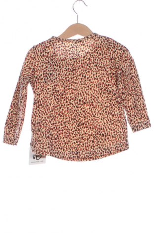 Kinder Shirt Lupilu, Größe 18-24m/ 86-98 cm, Farbe Mehrfarbig, Preis € 9,21