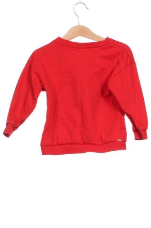 Kinder Shirt Pepco, Größe 2-3y/ 98-104 cm, Farbe Mehrfarbig, Preis 6,14 €