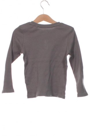 Детска блуза Sinsay, Размер 18-24m/ 86-98 см, Цвят Сив, Цена 11,40 лв.