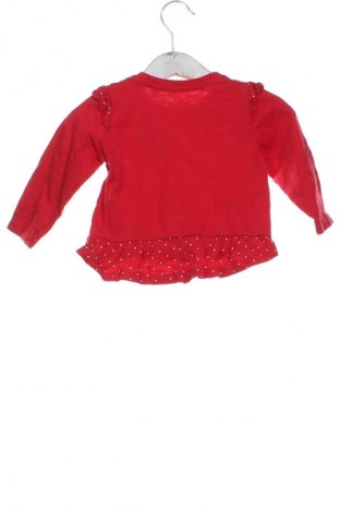 Детска блуза Topomini, Размер 6-9m/ 68-74 см, Цвят Многоцветен, Цена 12,00 лв.