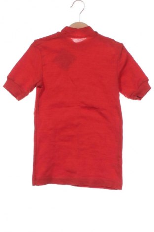 Bluză pentru copii Unbranded, Mărime 10-11y/ 146-152 cm, Culoare Roșu, Preț 31,58 Lei