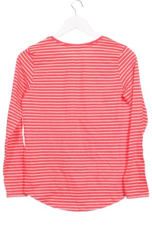 Kinder Shirt Unbranded, Größe 15-18y/ 170-176 cm, Farbe Mehrfarbig, Preis 6,99 €