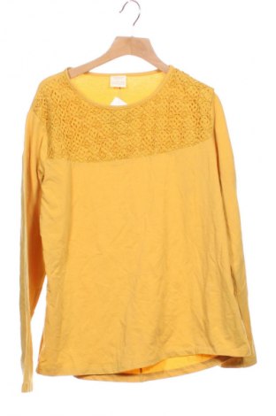Kinder Shirt Zara, Größe 12-13y/ 158-164 cm, Farbe Gelb, Preis € 7,99
