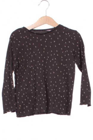 Παιδική μπλούζα Zara, Μέγεθος 2-3y/ 98-104 εκ., Χρώμα Πολύχρωμο, Τιμή 7,19 €